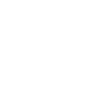 voley